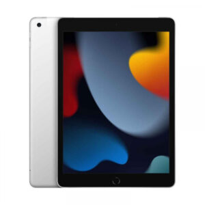 Apple iPad 10.2 WiFi et Cell 9.Gen 256Go Argent - MK4H3FD/A
