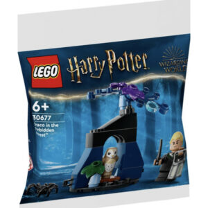 LEGO Harry Potter - Draco dans la forêt interdite (30677)
