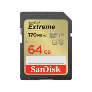 SanDisk Carte SDXC Extreme 64Go - SDSDXV2-064G-GNCIN