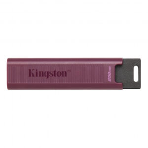 Kingston DataTraveler Max 256 GB USB Flash DTMAXA/256GB